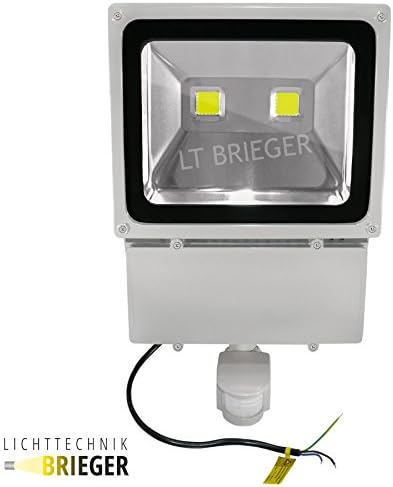 COB LED Außenfluter with Movement Sensor IP 65–100 Watts Cold white 5000 Kelvin - 9000 lm (Replaces 900–1000 Watt Halogen Bulbs) Set of 9