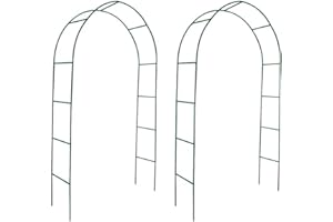 vidaXL 2X Arco de Rosas y Plantas Enredaderas de Jardín Hierro Verde Ocuro