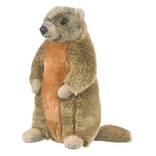 Preisvergleich Produktbild Marmot Groundhog Woodchuck Stuffed Animal Plush Yellow Bellied