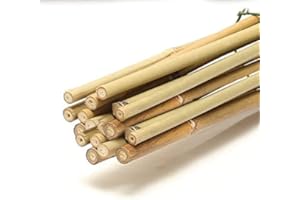 UK GROW Premium 3ft Bamboo Canes - 5x Bamboo Sticks - Available in 3ft, 4ft, and 5ft Sizes and Multi-Pack Options