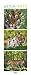 Wildlife Triplets 2015: PhotoArt Vertikal Kalender by