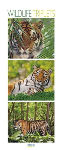 Wildlife Triplets 2015: PhotoArt Vertikal Kalender