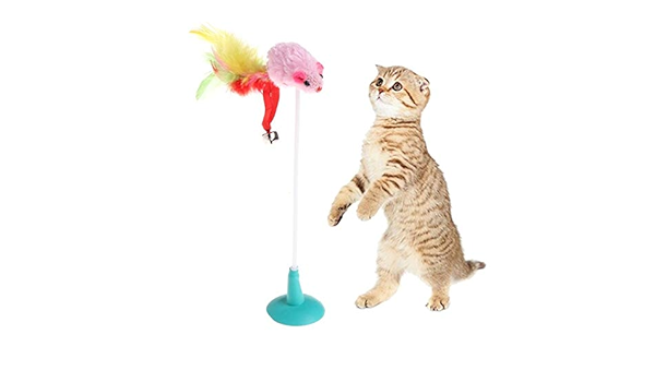 grasshopper cat toy