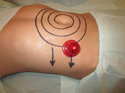 Beauty Care Silikon Schröpfen Massage Anti-Cellulite-Cups Schönheitstherapie-Massage Schröpfen Tasse - 5