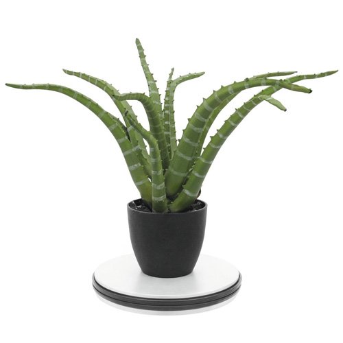 Euro Palms 50701195 Drehteller 25 cm bis 25kg - 3