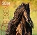 Friese 2013: Friesen Pferde by