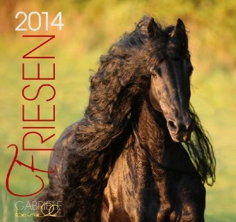 Friese 2013: Friesen Pferde