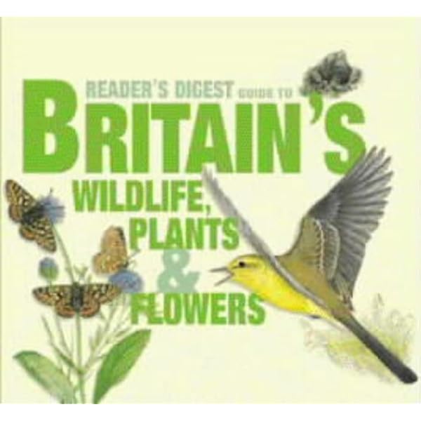 送込★FIELD GUIDE TO THE ANIMALS OF BRITAIN 91FKyVS7xiL.jpg_BO30,255,255,