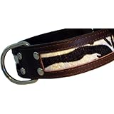 Halsband Ranger Zebra - extra breit - 5 verschiedene Größen - Trendartikel - Dogs Stars