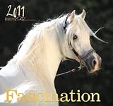 Faszination 2011 by