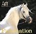 Faszination 2011 by