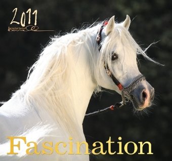 Faszination 2011