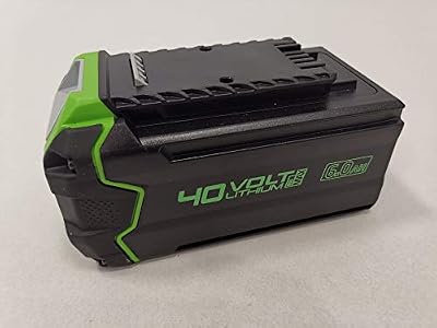 Greenworks Tools 2928907 Batterie 40 V 6 Ah