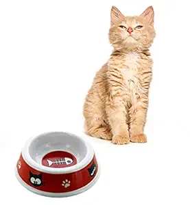 Kole KI-DI431 Cartoon Pet Dish, One Size