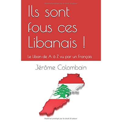 Ils sont fous ces Libanais !: Le Liban de A à Z vu par un Français