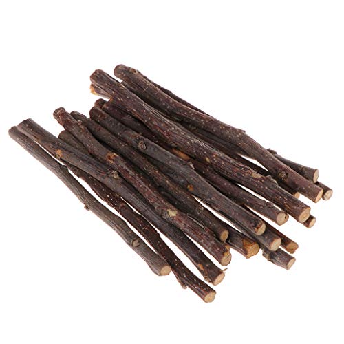 Fogun - Juego de 20 Palos de Masticar para árbol de Manzana, hámster, Ardilla, Juguetes Naturales, Loros, Conejos