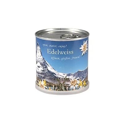 Macflowers Edelweiss à faire pousser en boite