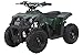 Produktbild Miniquad Kinder Atv Tiger 49 cc Pocketquad 2-takt Quad Pocket Bike Kinderquad