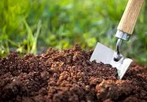 VEDHAHI Organic Potting Soil Mix with Vermicompost, Neem Granule, Plant Manure (1kg)