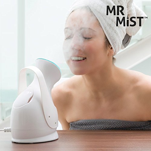 Preisvergleich Produktbild welzenter Gesichtsreinigungsbürste Sauna MR Mist Ionic Steamer – 1 1 Gerät Reiniger