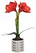 Produktbild Kunst-Pflanze Amaryllis im Topf 47cm