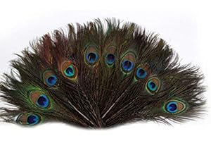 IMIKEYA - 100 plumas de pavo real, pájaros, animales artesanales, plumas con gran ojo de pavo real para bricolaje, artesanía, atrapasueños, hacer la casa de boda, vacaciones, vestido decorativo 25