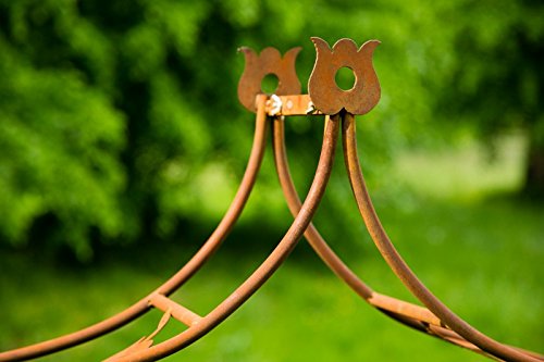 Filigraner Rosenbogen in Rost B: 110cm Rankbogen aus Metall in Edelrost - 6