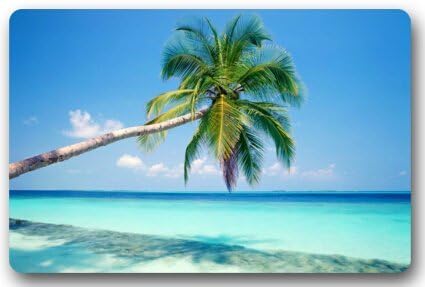 Sandy Tropical Paradise Beach with Palm Trees and the Sea Ocean Theme Door Mats Cover Non-Slip Machine Washable Outdoor Indoor Bathroom Kitchen Decor Rug Mat Welcome Doormat 23.6"(L) x 15.7"(W)