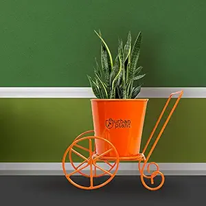 Urban Plant Table Top Metal Planter (Orange)
