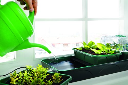 Bio Green Aufzuchtartikel Hollandia Aufzuchtstation, Mehrfarbig - 4