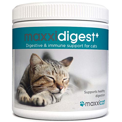 maxxicat - maxxidigest+ Probióticos, prebióticos y enzimas digestivas para Gatos - Ayuda Avanzada a la digestión Felina & al Sistema inmunológico - Sin Polvo OGM - Polvos 90 g