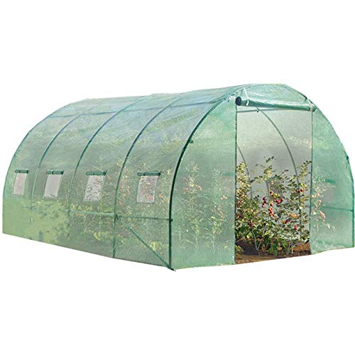 IDMarket - Serre de Jardin Tunnel 12 m² Verte 3x4 m