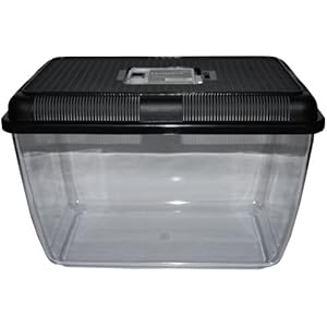 Fauna-Box large 38x24x25cm, Deckel schwarz