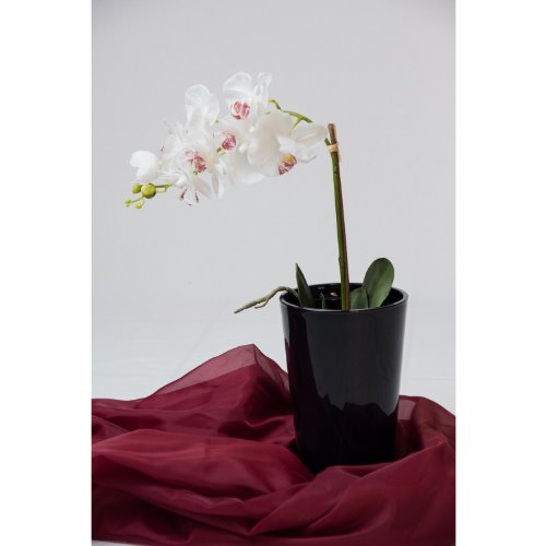 Konische Vase SALLY aus Glas, schwarz, 22 cm, Ø 13 cm – Blumenvase / Tischvase – INNA Glas - 6