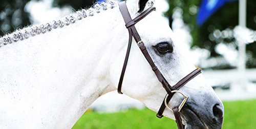 Huntley-Equestrian-Fancy-Stitched-Sedgwick-Leather-English-Bridle-and-Reins