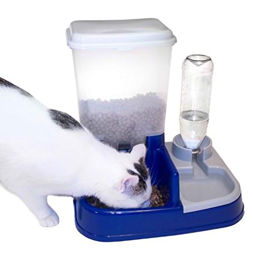 Pet-Food-Water-Dispenser-2in1-with-Detachable-Lids-for-Easy-Refill-An-Easy-Way-to-Feed-your-Pets
