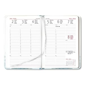 Alpha Edition Ladytimer 170833 Agenda per Anno 2017