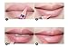 CINEEN 12 Various Colours Lip Liner Set Waterproof Lipstick Lip Liner Pencil Long Lasting Lipliner Pencil Set with Lid