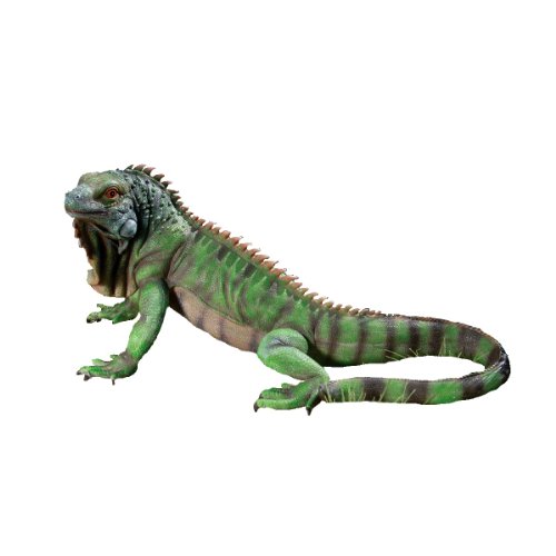 Design Toscano Leguan-Figur Iggy the Iguana