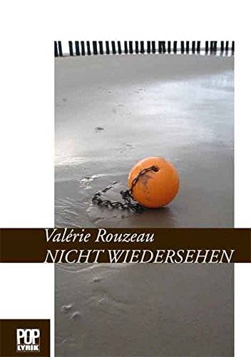 Nicht wiedersehen: Gedichte