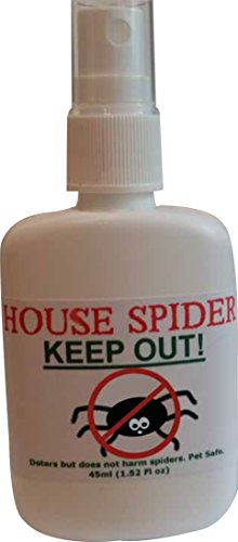 Preisvergleich Produktbild House Spider Spray