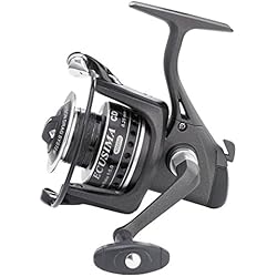 Ryobi ecusima Pro 4000
