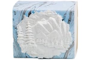 The Favorite Place® Burial Biodegradable Urn Box for Human Ashes by EARTH MEMORIALS Water Burial Urn (Mountains on Blue/Metallic Silver Paper, Small, 80 Cubic Inches 5”L x 4”W x 4”H)