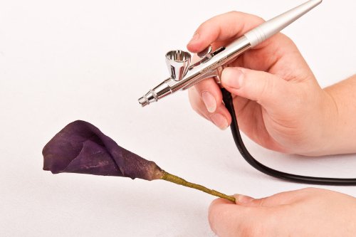 Cassie Brown Cake Craft Airbrush- und Kompressor-Set zur Dekoration - 4