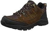  Aigle Herren Vedur Low Mtd Trekking- & Wanderhalbschuhe, Braun (Darkbrown 001), 44 EU