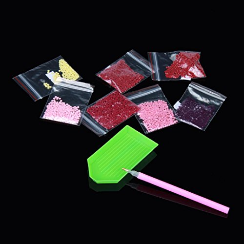 BZLine® 5D Diamant Stickerei Strass eingefügt DIY Malerei Kreuzstich Strass Raum Dekoration, 30X30cm (A) - 3