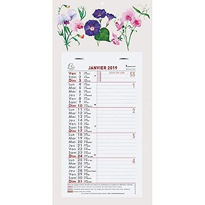 Exacompta 33215E Calendrier Mensuel "Fleurs" 33 x 16 cm Année 2019