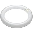 FC22T9-BL368-CA - 22w T9 225mm Circular BL368 Flykiller