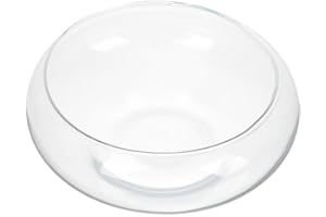 Toddmomy Glass Planter Pot for Succulents and Aquatic Plants - 23Cm Clear Bowl Planter for Fish Water Lilies and More - Multi-Functional Decorative Container for Home and Garden