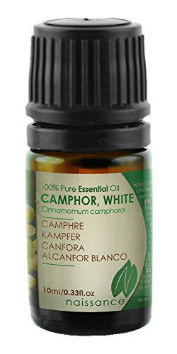 Kampfer – 100% naturreines ätherisches Öl – 10ml